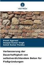 Verbesserung der Dauerhaftigkeit von selbstverdichtendem Beton für Floßgründungen