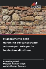 Miglioramento della durabilità del calcestruzzo autocompattante per la fondazione di zattere