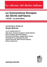 Convenzione europea dei diritti dell'uomo. I diritti. La procedura