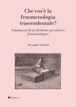 Che cos'è la fenomenologia trascendentale? Fondamenti di un idealismo speculativo fenomenologico