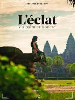 L'éclat du palmier à sucre
