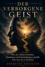 DER VERBORGENE GEIST