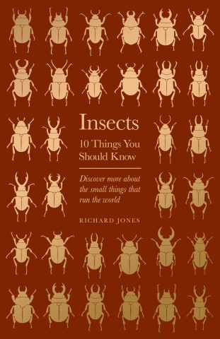Insects