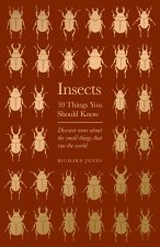 Insects