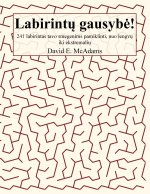 Labirintų gausybė!