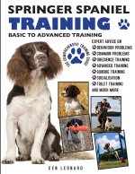 SPRINGER SPANIEL TRAINING