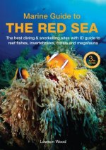 A Marine Guide to the Red Sea