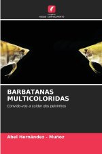 BARBATANAS MULTICOLORIDAS