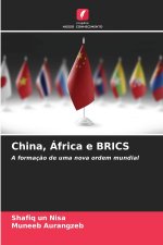 China, África e BRICS