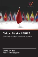 Chiny, Afryka i BRICS