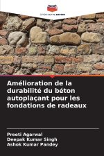 Amélioration de la durabilité du béton autoplaçant pour les fondations de radeaux
