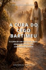 A CURA DO CEGO BARTIMEU