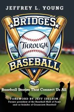 Bridges Through Baseball