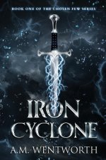 Iron Cyclone