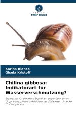 Chilina gibbosa