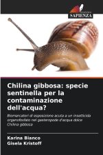 Chilina gibbosa
