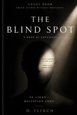 THE BLIND SPOT