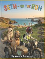 Seth - On The Run