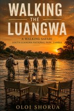 Walking The Luangwa