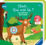 Chut qui est là ? Les animaux de la forêt