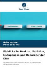 Einblicke in Struktur, Funktion, Mutagenese und Reparatur der DNA