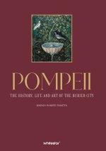 Pompéi - Histoire, art et vie quotidienne de la cité ensevelie