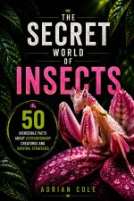 THE SECRET WORLD OF INSECTS