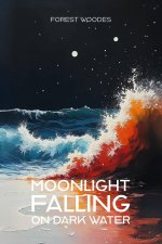 Moonlight Falling on Dark Water