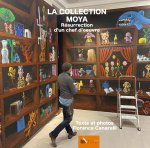 La Collection Moya