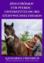 Heilströmen für Pferde - Unterstützung bei Stoffwechselthemen