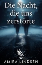 Die Nacht, die uns zerstörte.