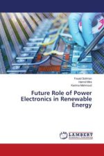 Future Role of Power Electronics in Renewable Energy