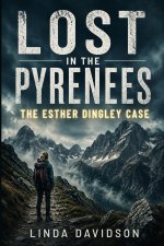 Lost in the Pyrenees