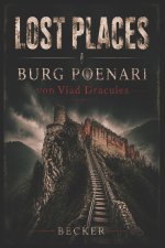 Lost Places I Burg Poenari von Vlad Draculea