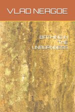 BATHING IN THE UNBORNNESS
