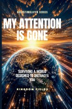MY ATTENTION IS GONE