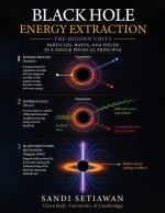 Black Hole Energy Extraction