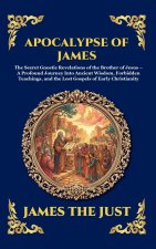 Apocalypse of James