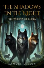 The Shadows In The Night