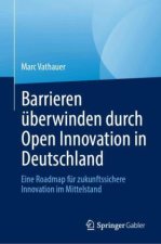 Barrieren überwinden durch Open Innovation in Deutschland
