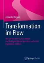 Transformation im Flow