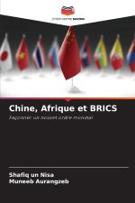 Chine, Afrique et BRICS
