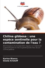 Chilina gibbosa