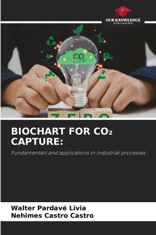 BIOCHART FOR CO₂ CAPTURE