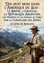 DIX HUIT MOIS DANS AMERIQUE DU SUD BRESI