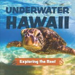 Underwater Hawaii