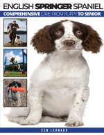 ENGLISH SPRINGER SPANIEL