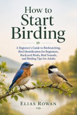 How to Start Birding