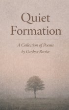 Quiet Formation
