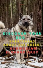 Discover your dog